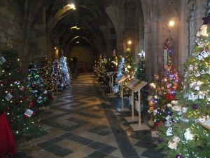 Trees lining Worcester Cathedral